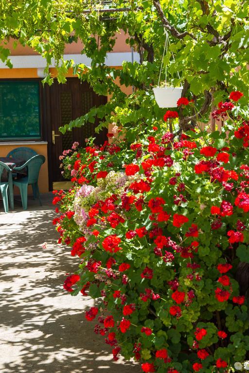 Apartments Stefanovski Paradiso Veli Lošinj Oda fotoğraf